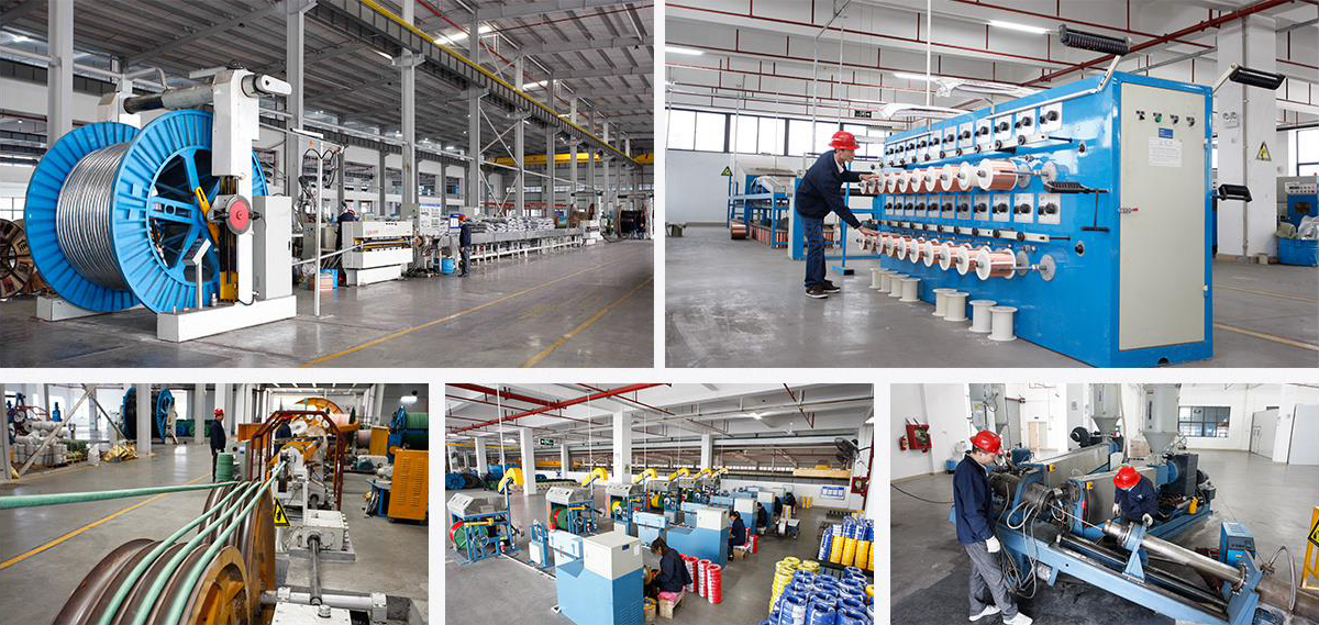 嫩草影院免费版科技部分店（diàn）面风采